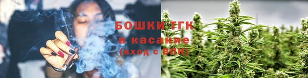 прущие крисы Арсеньев