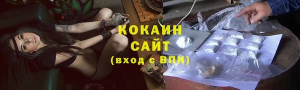 индика Ахтубинск