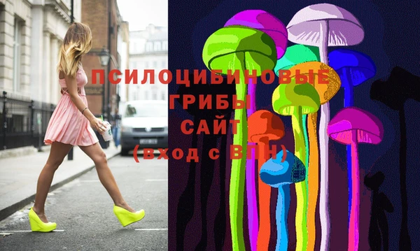 прущие крисы Арсеньев