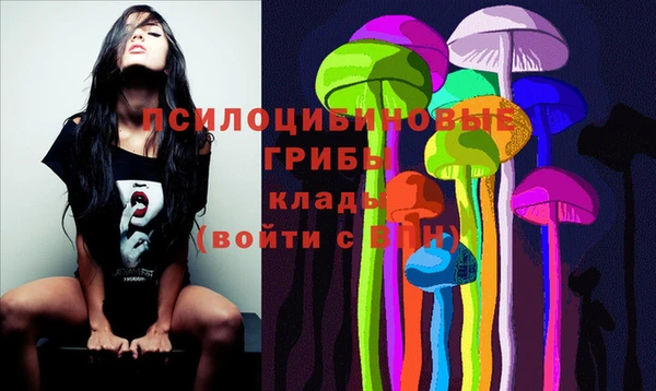 дживик Армянск