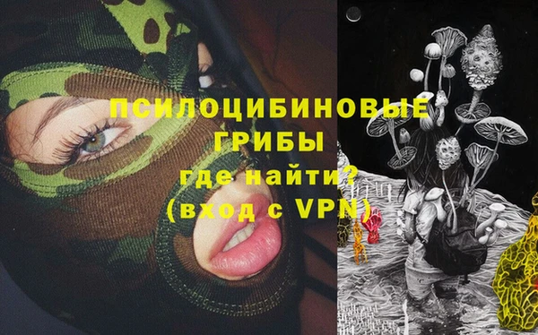 прущие крисы Арсеньев