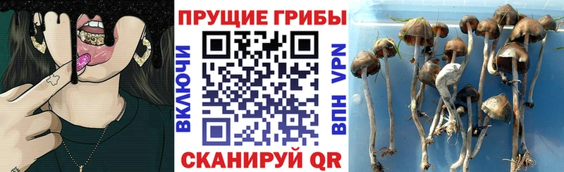 Псилоцибиновые грибы мухоморы Орёл